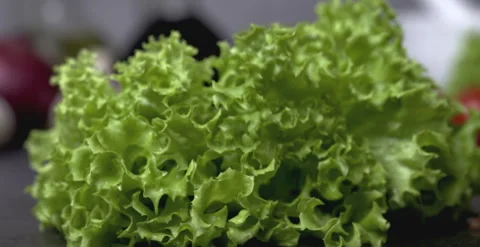 Falling Fresh Wet Lettuce on Kitchen Counter Stock Footage 318411884