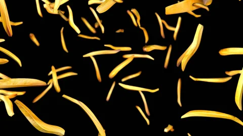 FALLING FRITES 2 ALPHA Stock Footage 104677875