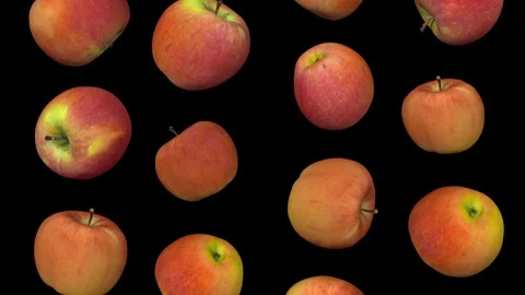 Falling Fuji Apples on Black Background (Looping) Stock Footage 93060847