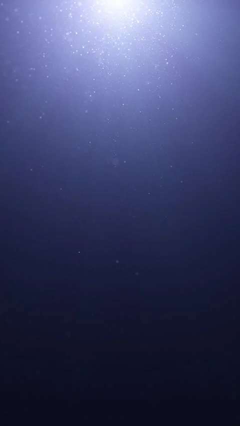 Falling glitter particles on blue seamless loop vertical background 스톡 동영상 347685553