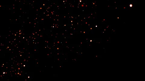 Falling glitter particles. Shiny confetti magic, sparkling, bokeh light Stock Footage 122381846