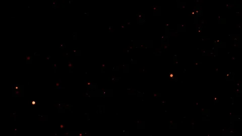 Falling glitter particles. Shiny confetti magic, sparkling, bokeh light Stock Footage 122389806