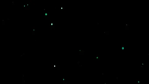 Falling glitter particles. Shiny confetti magic, sparkling, bokeh light Stock Footage 122389870