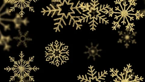 Falling glow gold snowflake on black background animation  Stock Footage 252032314
