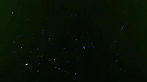 Falling Glowing Colorful Dust Particles Animation. Stock Footage 219502660