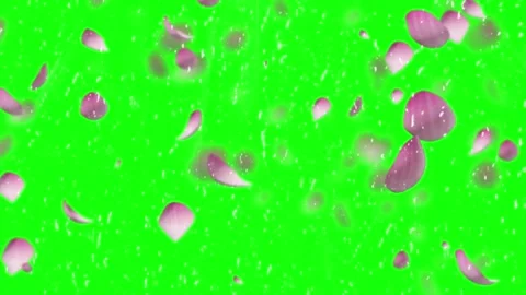 Falling glowing particles on green screen Stock Footage 340613461