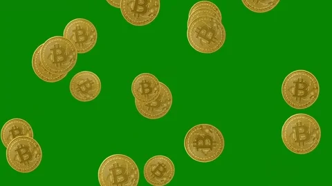 Falling golden bitcoins motion graphics with green screen background Stock Footage 336965258