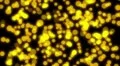 Falling golden dots motion background HD Footage