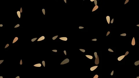 Falling grains on black background. 2d animation Video stock 343729926