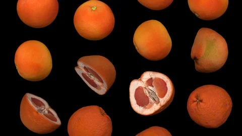 Falling Grapefruits on Transparent Background (Looping with Alpha Channel) Stock Footage 95631000