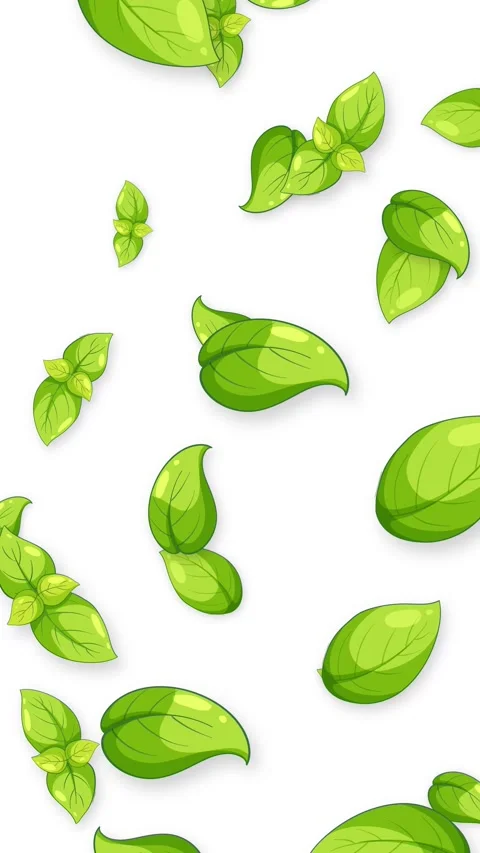 Falling Green Basil Leaves Animation on White Background Stock Footage 345118011