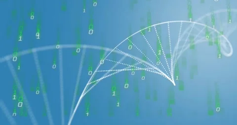 Falling green binary starting particles gathering, white dots forming spiraling Stock Footage 328656297