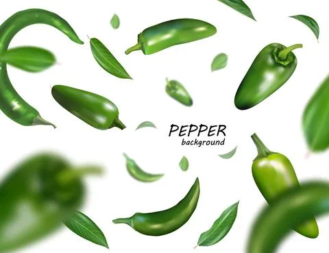 Falling green chili or chilli pepper isolated on white Realistic vector, 3d 스톡 일러스트