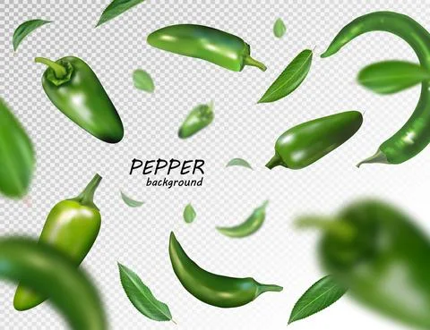 Falling green chili or chilli pepper isolated on transparent Realistic vector 스톡 일러스트