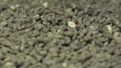 Falling Green Coffee Beans Slowmotion 1000 fps 02 動画素材 94054717