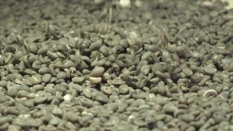 Falling Green Coffee Beans Slowmotion 1000 fps 01 動画素材 94055194