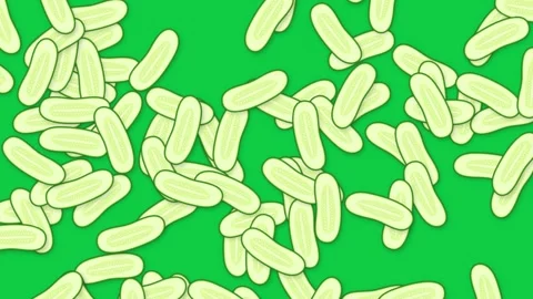 Falling Green Cucumber Slices Animation on Solid Green Background Stock Footage 339754365