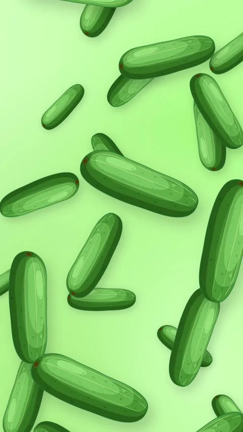 Falling Green Cucumber Vegetables Animation on Light Green Background Stock Footage 344617293