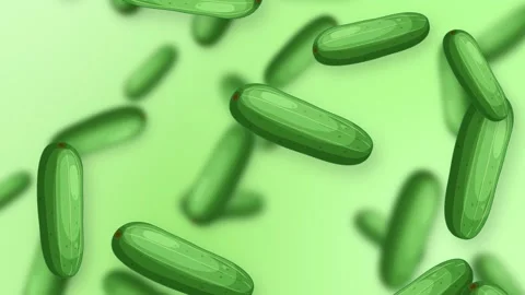 Falling Green Cucumber Vegetables Animation on Light Green Background Stock-Footage 344831405