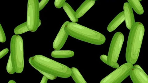 Falling Green Cucumber Vegetables Animation on Black Background Stock Footage 345705294