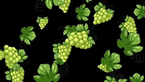 Falling Green Grapes and Leaves Animation on Black Background Stock Footage 343699182