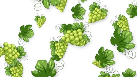 Falling Green Grapes and Leaves Animation on White Background Stock Footage 346208364