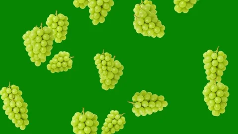 Falling green grapes motion graphics with green screen background Stock Footage 320621508