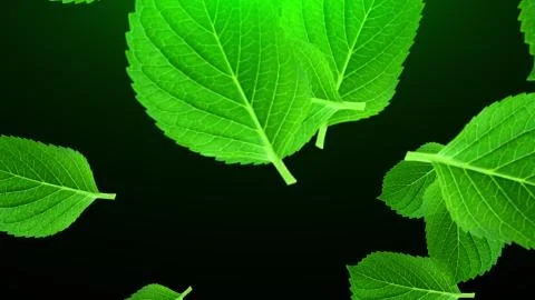 Falling green leaves, 3D rendering. Computer generated beautiful abstract 库存插图