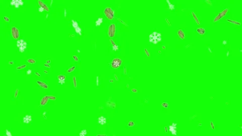 Falling green leaves and white snowflakes overlay on green screen background 스톡 동영상 334019853