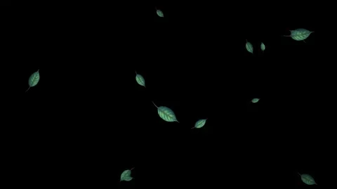 Falling green leaves on black background Stock Footage 329211022