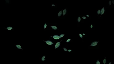 Falling Green Leaves on Black Background Stock Footage 329211025