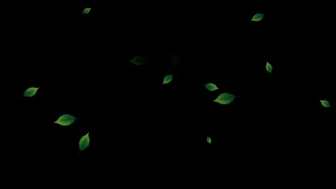 Falling Green Leaves on Black Background Stock Footage 329267968