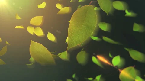 Falling green leaves Video stock 41220254