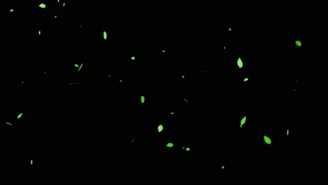 Falling Green Leaves Isolated - Animated 4K Video - Seamless Looping Stock Footage 177422845