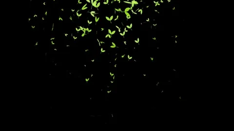 Falling green leaves seamless loop animation perfect for spring growth ecol.. Stock Footage 321442831