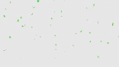 Falling Green Leaves (Transparent Background MOV) Stock Footage 332457221