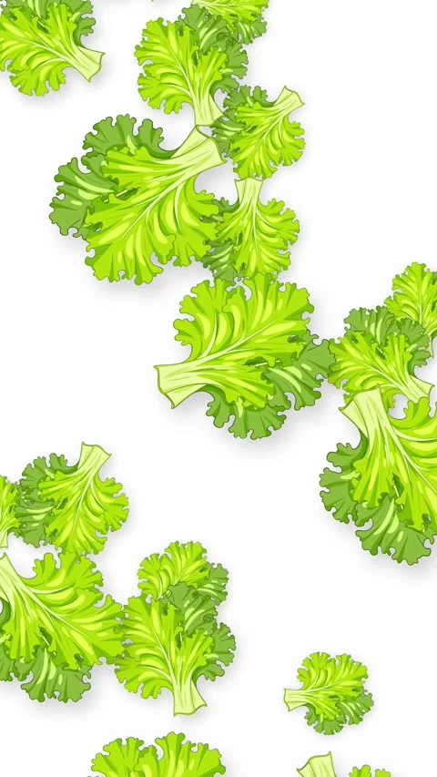 Falling Green Lettuce Leaves Animation on White Background Stock Footage 342315662