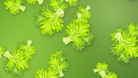 Falling Green Lettuce Leaves Animation on Gradient Mesh Background Stock Footage 342488885