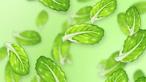 Falling Green Mint Leaves Animation on Light Green Background Stock Footage 345314501