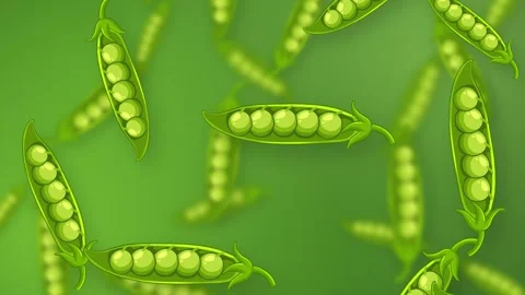 Falling Green Pea Pods Animation on Vibrant Mesh Background Stock Footage 346570594
