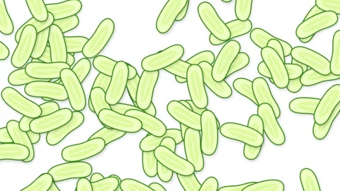 Falling Green Pill Shaped Objects Animation on White Background Stock Footage 339515956