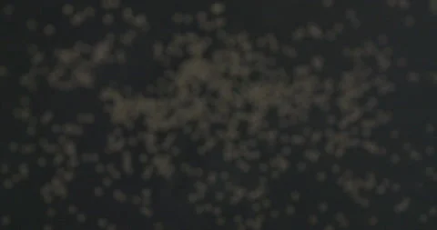 Falling grit on a black background Stock Footage 146388004