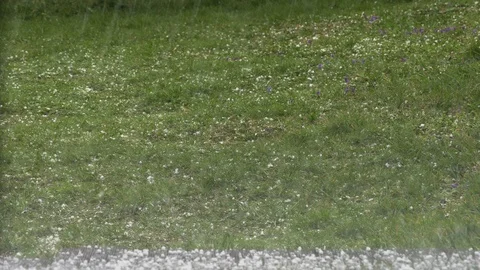 Falling hail on grass in spring garden Stock Footage 126826714