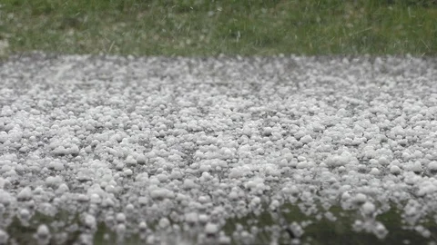 Falling Hail On Grass In Spring Garden 