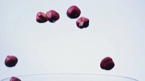 Falling Hazelnut on blue background super slow motion 1000 fps Stock Footage 141058016