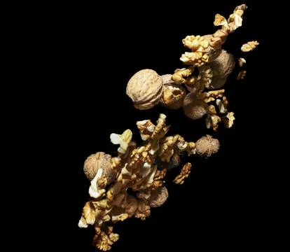 Falling heap of walnuts Stock Photos