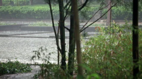 Falling heavy rain Video stock 759046
