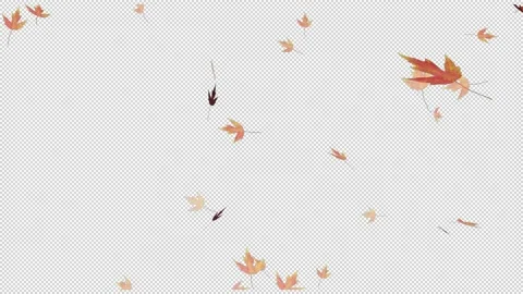 Falling isolated autumn maple leaves with an alpha channel Stock Footage 218382084