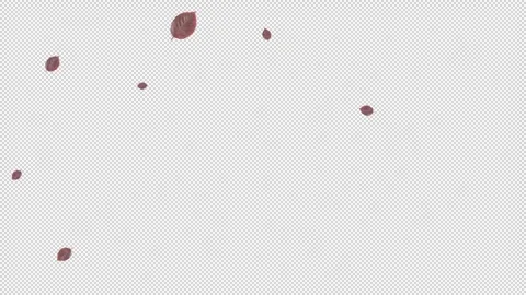 Falling large and small red leaves from a nearly distant view Vidéo 321018745