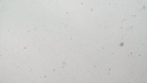 Falling Large White Snowflakes Against Gray Clouds Stock Footage 231068415